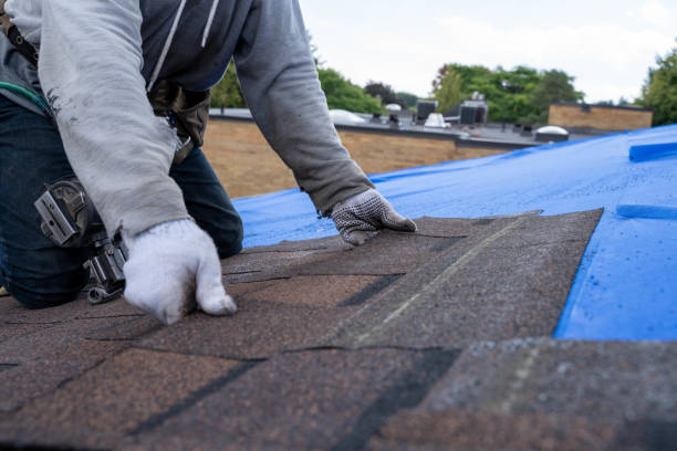 Professional Roofing Contractor in Lincolnton, GA